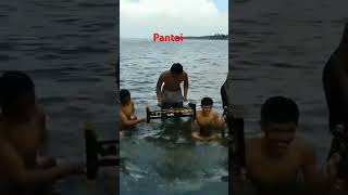 Baluk Rening pantai wisata music rindikbali sorotan cover coversong rindik [upl. by Assenar]