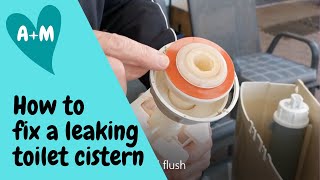 How to change toilet cistern seat washer Caroma dual flush [upl. by Elvyn]