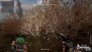 Artifacts in Swamps  Bonus Content  STALKER Clear Sky help video [upl. by Htiaf]