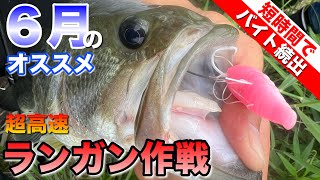 【仕事帰りでもOK】 短時間でも確実にバイトを得れるスピーディーな釣りがコレ。【水の旅＃ ２５９】 [upl. by Tra966]