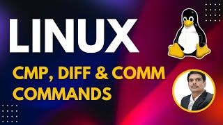 Part 7  UnixLinux for Testers  cmp diff amp comm Commands [upl. by Ahsennod]