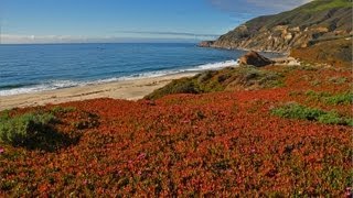 quotThe California Coastquot w Music 1 HR HEALING Nature Relaxation Video w Music 1080p [upl. by Ellenor872]