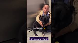 Cachorro Acalmando Crise de Criança Com Autismo [upl. by Ennovy]