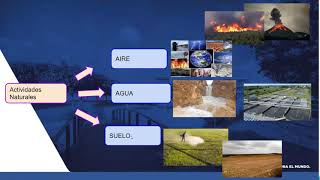 CONTAMINACIÓN POR CADMIO [upl. by Enilav]