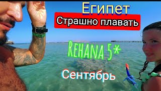 СТРАШНО ПЛАВАТЬ Rehana Royal Beach Resort amp Spa 5 Первая линия Район Набк Ужин Анимация Риф и рыбки [upl. by Bartholomeo]