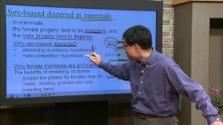 Animal Behavior  Lecture09 Habitat selection [upl. by Jae]