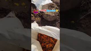 नवरात्रि Special 🥢🌼 shreeshubhagrorganic  ☎️ 7566897577 yt farming organickhad raw organic [upl. by Behnken]