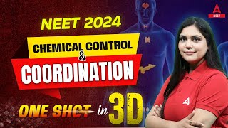 Chemical Coordination and Integration Class 11  3D  NEET 2024 Biology  Garima Goel [upl. by Eelessej]