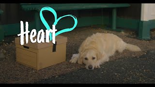 Heart  RSPCA Christmas Advert  2022 [upl. by Einnaf]