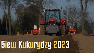 🇵🇱 Siew Kukurydzy 2023 z nowym nabytkiem w akcji 😍 Massey Ferguson 6445 i 5475 w akcji 🔥 [upl. by Scevo]