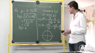 Modules et arguments  Exercice 1  Maths terminale  Les Bons Profs [upl. by Jet]