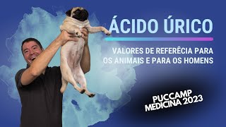 Puccamp Medicina 2023 O ácido úrico nos animais é formado pelo metabolismo das bases [upl. by Yesrej]