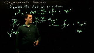 Organometallic ReactionsOrganic Chemistry II11 [upl. by Osanna]