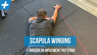 Exercises for Scapula Winging and Irregular Shoulder Movement  Pt 2  Tim Keeley  Physio REHAB [upl. by Ai]