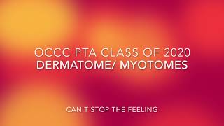 OCCC PTA 2020 DermatomeMyotome Dance [upl. by Boehike812]