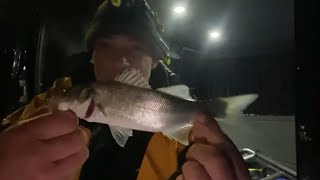 POOLE HARBOUR LIVE FISHING  bass and flounder [upl. by Leelah]