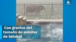 Vaca intenta huir del granizo con tamaño de pelotas de béisbol en Texas [upl. by Trow]