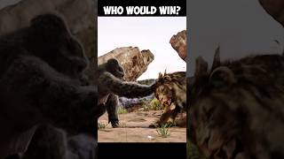 gorilla vs lion real fight 😱 [upl. by Ahsuas887]