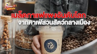 กาแฟขี้ชะมด ร้าน BLUE GOLD l MHA Review [upl. by Nnylg]