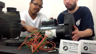 Jandy Stealth Pool Pump Seal Housing Removal [upl. by Annora3]