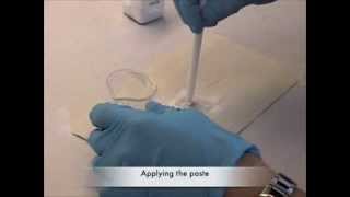 Making a Dye Sensitized Solar Cell [upl. by Raknahs978]