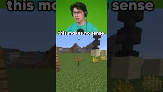 Minecraft Makes No Sense…😂 reaction [upl. by Emmanuel]