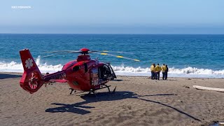 Coast Guard suspends search for swimmer missing after possible Point Reyes shark attack officials [upl. by Polad177]