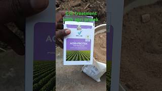 Soil treatment with vestige agri protek [upl. by Dnalloh]