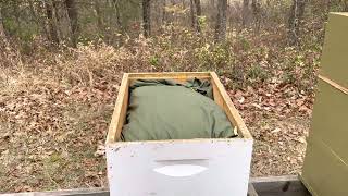 Winterizing Langstroth honey bee hives with quilt box beekeeping langstroth hives [upl. by Padraig]