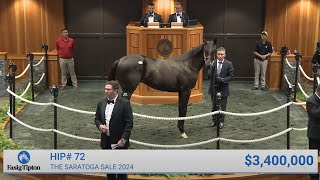 Not This Time colt sells for 3400000 at The Saratoga Sale 2024 [upl. by Ellatsyrc]