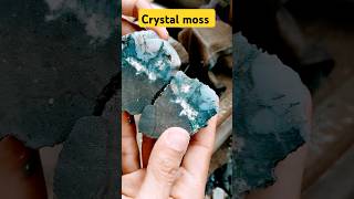 Crystal moss Cutting White moss stone naturalgems batuakik gemstone gems [upl. by Inaluahek322]