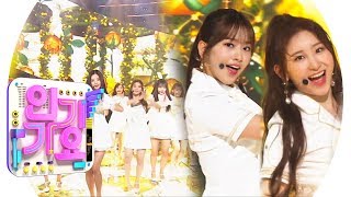 IZONE아이즈원  Violeta비올레타 인기가요 Inkigayo 20190421 [upl. by Yard]