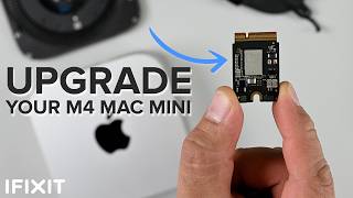 M4 Mac mini Teardown  UPGRADABLE Storage Powerful and TINY [upl. by Jeuz]