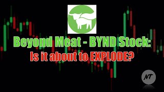 Beyond Meat BYND Stock Is it About to Explode [upl. by Linders]