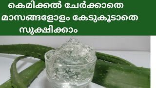 How To Store Homemade ALOE VERA GEL for Long Time  100 Pure Homemade Aloe Vera Gel [upl. by Einnoc]