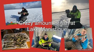 Lake Manistique Ice Fishing 2022  Perch Walleye Pike Whitefish  Part 2 [upl. by Catarina28]