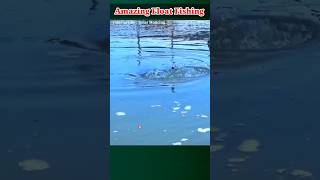 Amazing Float fishing video shorts fishing fishingvideo [upl. by Ynnav497]