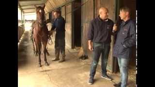 Wim Paal  Tedesco Giramondo  da quotCanter del 13 novembre 2014 [upl. by Leizo]