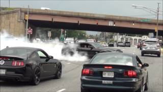 EPIC Burnout Shelby GT500 Super Snake  Diesel Truck Pulled Over  Sick Burnout Mustang Cobra [upl. by Leunamme]