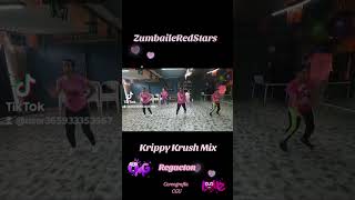 Krippy Krush Mix [upl. by Ttirb98]