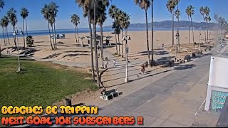 Venice Beach Webcam  Venice Beach Live Cam  venice beach live boardwalk cam [upl. by Maddocks]