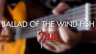 Ballad of the Wind Fish Links Awakening Guitar Cover  DSC [upl. by Vig211]