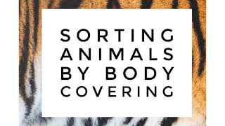 Sorting Animals by Body Covering [upl. by Liahcim]