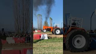 TRACTOR PULLING Finale di Campionato con Gomiero Farm galionato [upl. by Feenah]