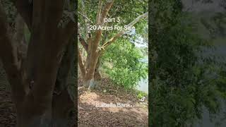 Part 3 20 Acres For Sale Isabella Bank Belize District Belize [upl. by Genisia]