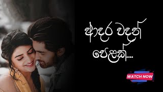 ආදර වදන් ❤️  adara wadan sinhala nisadas hithata wadina wadansinhala wadanwhatsApp status [upl. by Yblek]