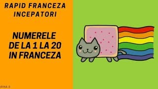 Franceza pentru incepatori2018  Numere in franceza de la 1 la 20 [upl. by Anelim]