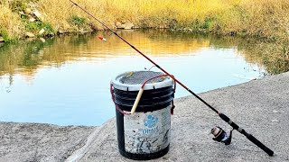 The ULTIMATE Fall Catfish Bait How I catch them [upl. by Jolee]