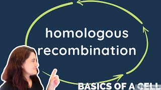 HOMOLOGOUS RECOMBINATION  in ENGLISH [upl. by Annavaig192]