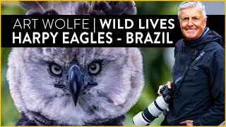 Art Wolfes Wild Lives  Harpy Eagles in Brazil [upl. by Maggie]